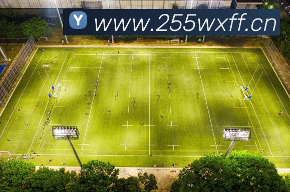 多媒体互动体验